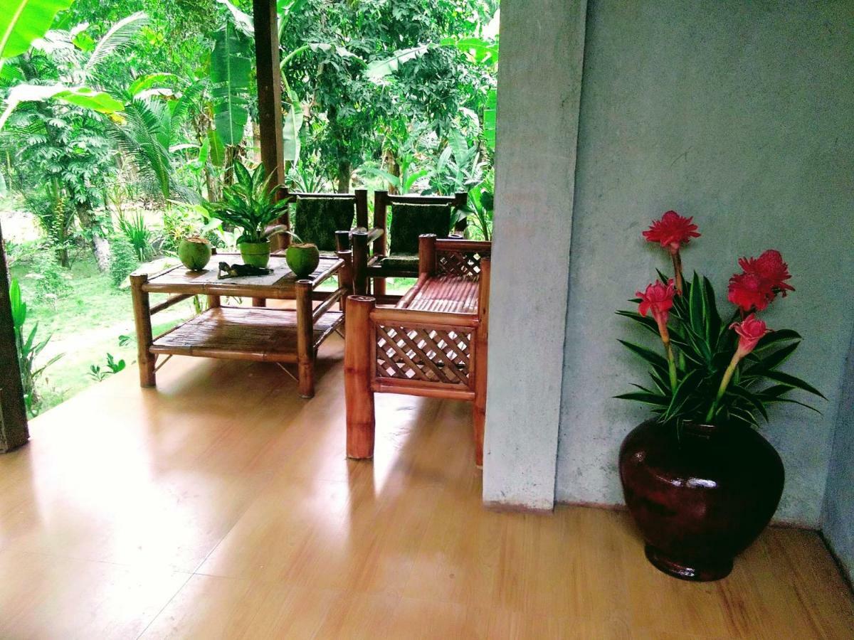 House Rental Banaba Tree Samboan Exterior photo